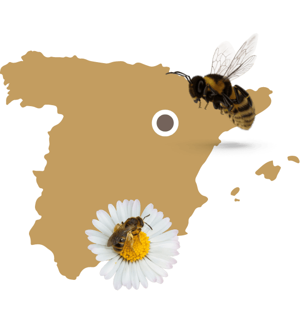 MapaCertificado_Home_BonaMel1 Mapa miel