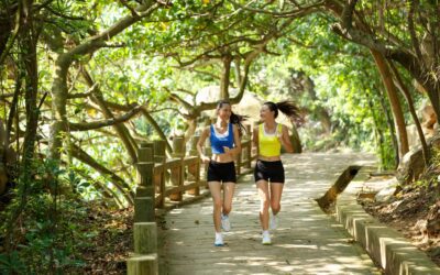 Récupération sportive naturelle : comment le miel biologique de Bonamel peut améliorer vos performances
