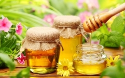 Properties and multiple uses of honey