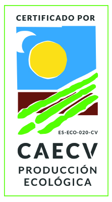 logo CAECV