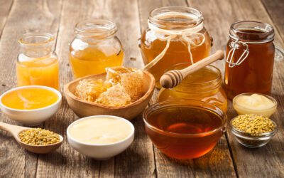 🐝 Bio-Honig: Das altbewährte Naturheilmittel mit wissenschaftlicher Unterstützung